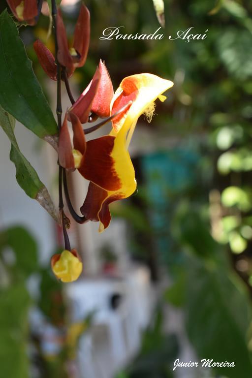 Pousada Acai Paraty Exteriör bild